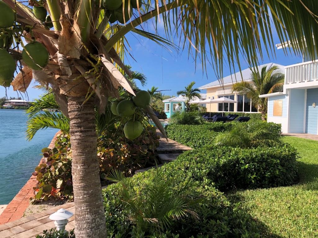 Dolphin Cove  Property Views  Exterior View 12