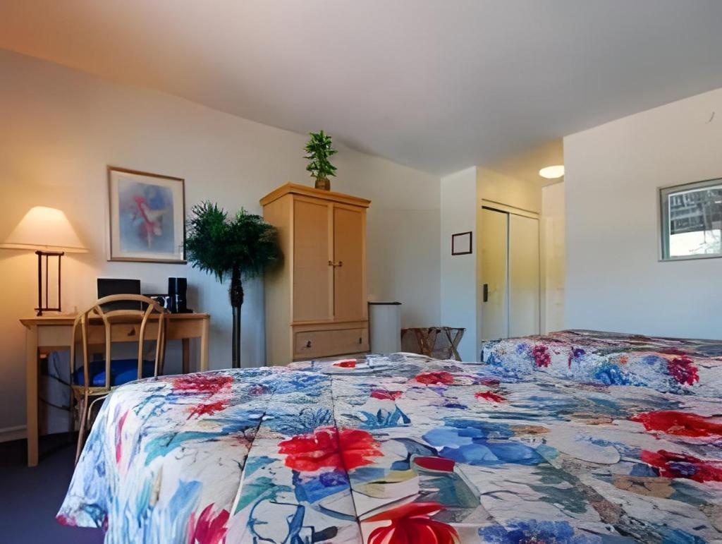 Castaways Resort And Suites Grand Bahama Island  Rooms  1 King Bed Nonsmoking 8