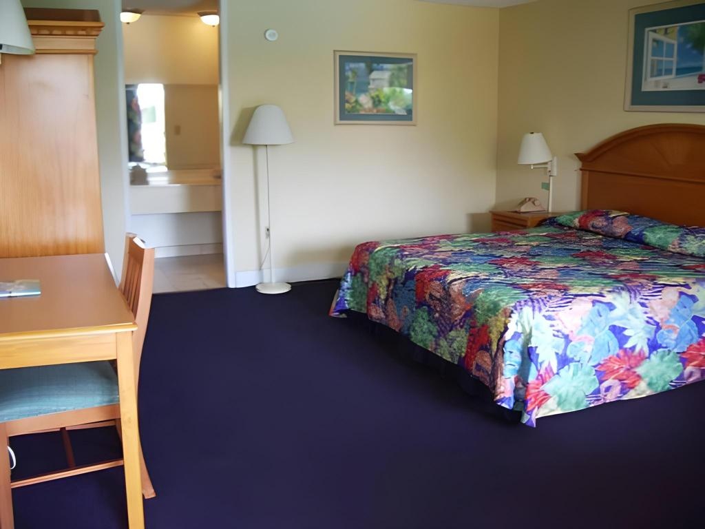 Royal Islander Hotel  Rooms  King Room 4