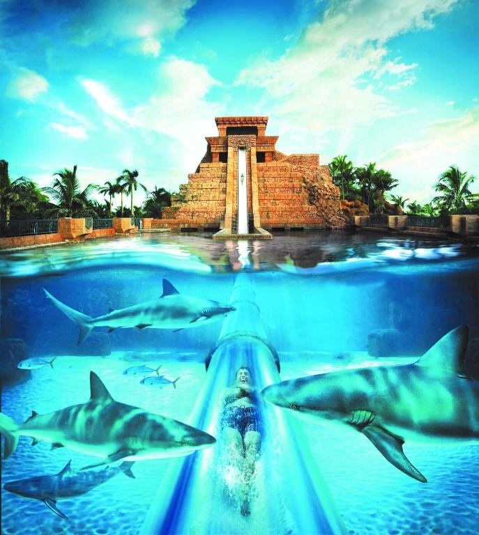 Comfort Suites Paradise Island  Facilities  Attractions 15
