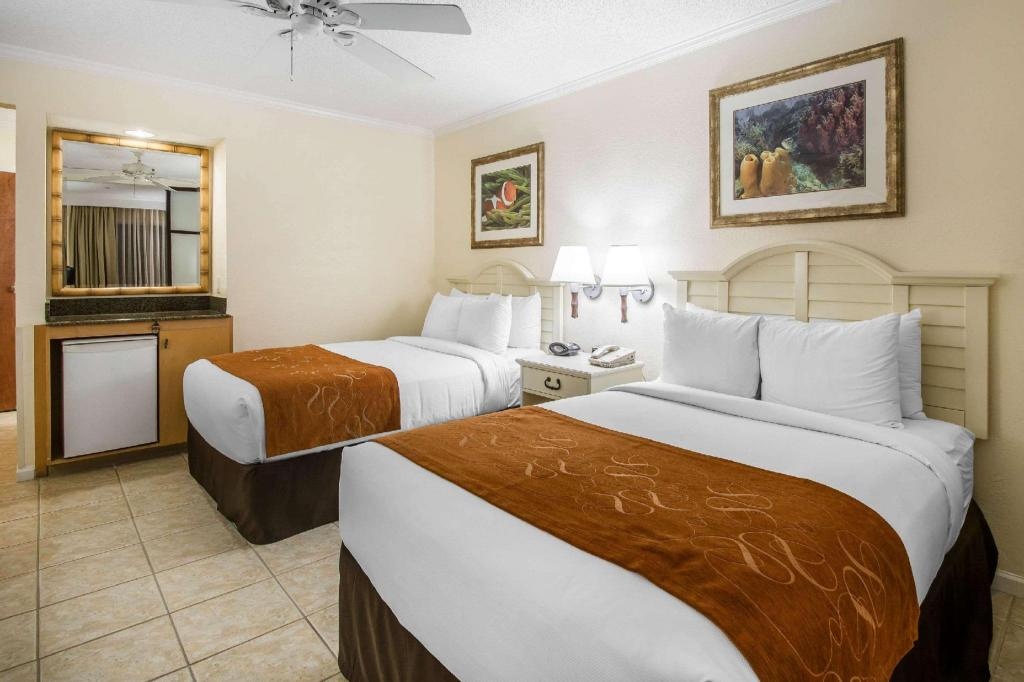 Comfort Suites Paradise Island  Rooms  Rooms Image 13 13