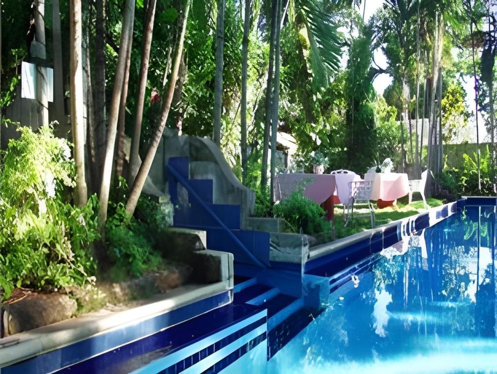 Graycliff Hotel  Facilities  Swimming Pool 7