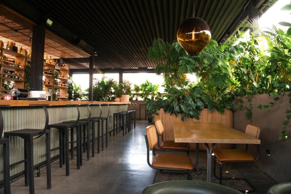 Art Hotel Boutique  Facilities  Facilities Image 11 11