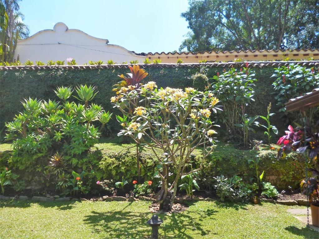 Hotel Poblado Campestre  Facilities  Garden 2