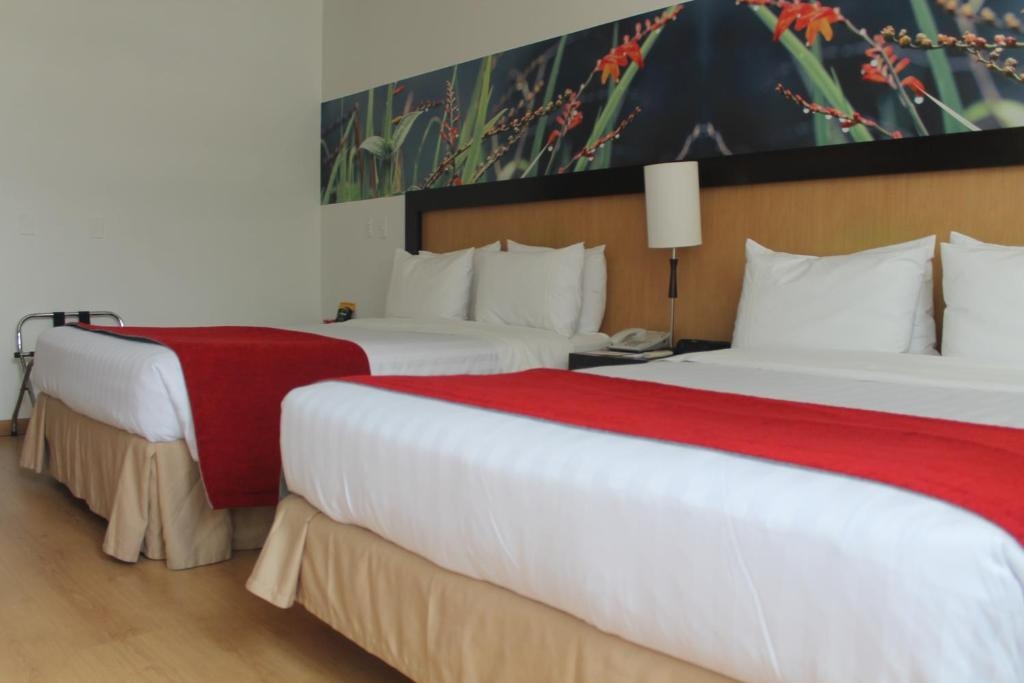 Mi Hotel Sandiego  Rooms  Double Room With Two Double Beds 15