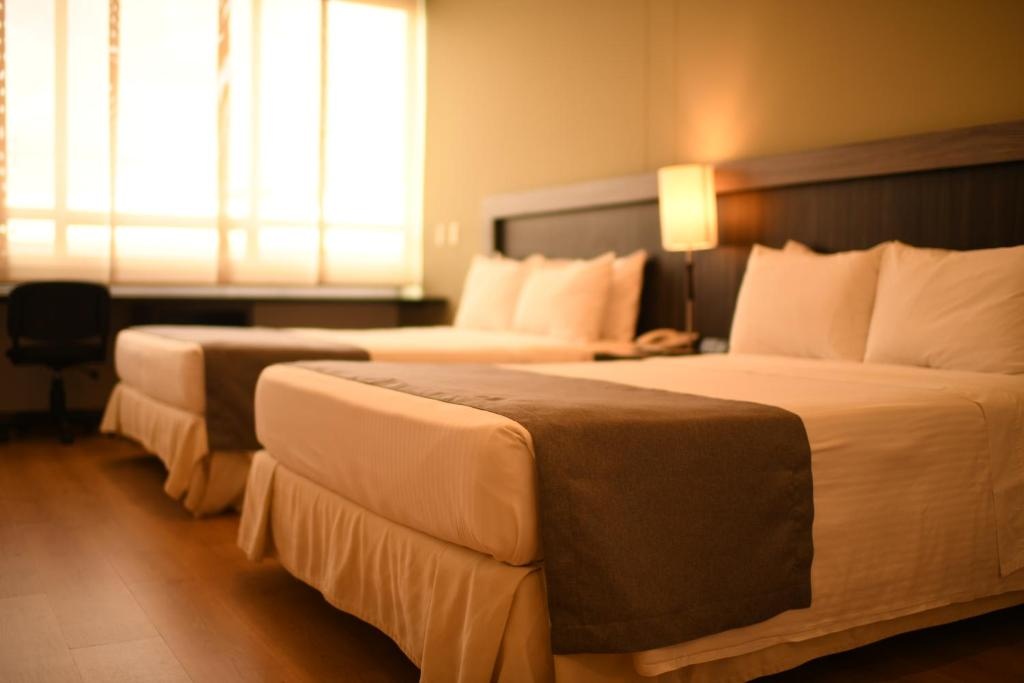 Mi Hotel Sandiego  Rooms  Rooms Image 7 7
