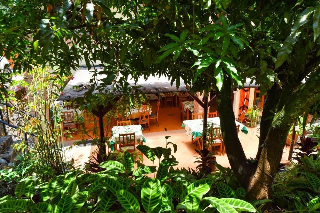 La Campana Hotel Boutique  Facilities  Garden 18