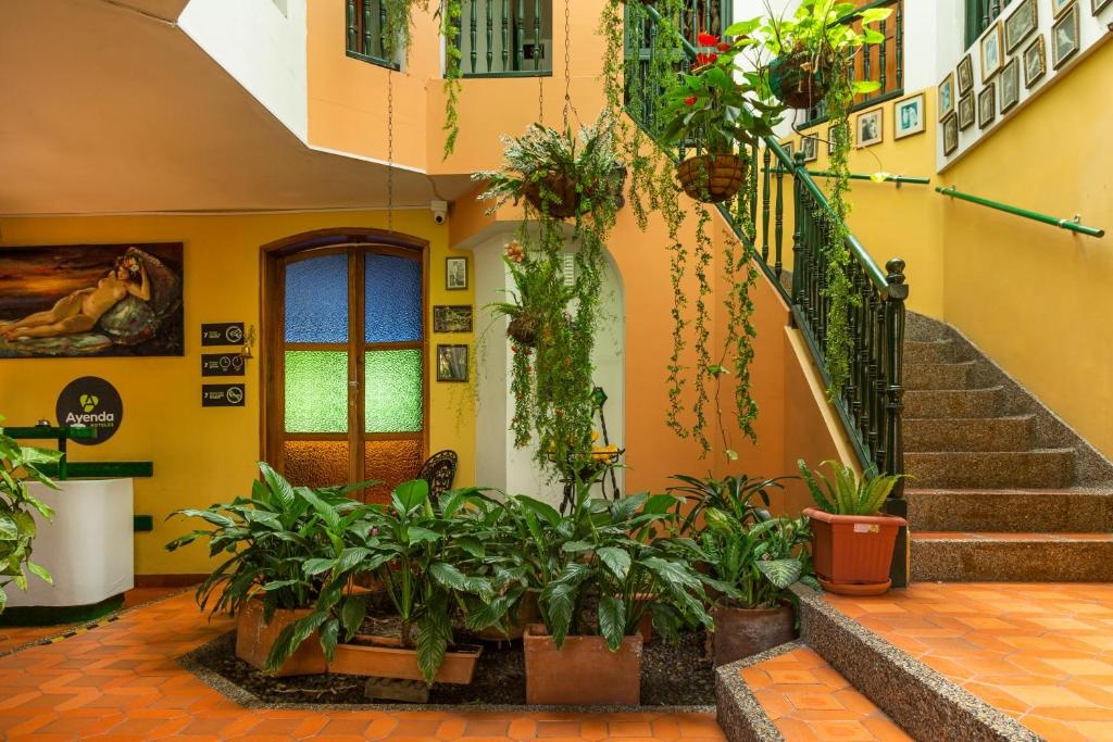 Ayenda Habana Vieja 1221  Property Views  Property Views Image 2 2