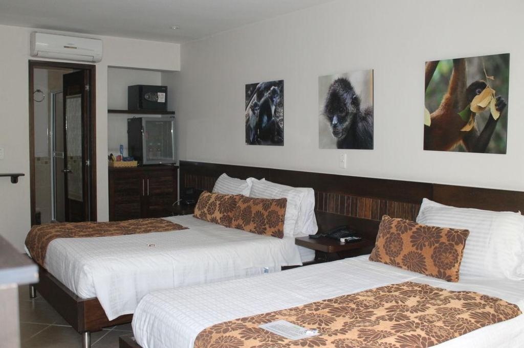 Hotel Poblado Boutique Express  Rooms  Rooms Image 16 16