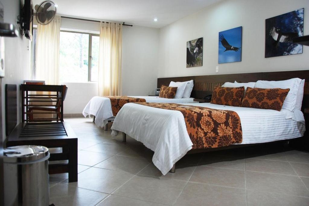 Hotel Poblado Boutique Express  Rooms  Rooms Image 8 8