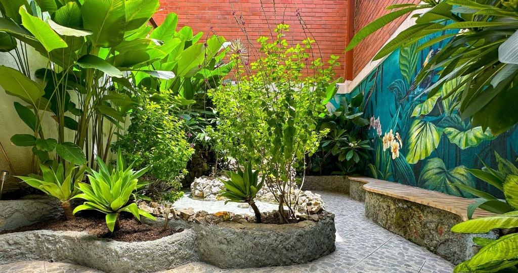Hotel Casa Laureles  Facilities  Balconyterrace 3