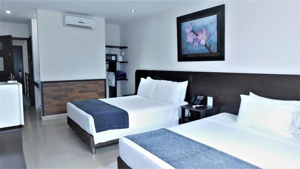 Hotel Acqua Medellin  Rooms  Rooms Image 23 23