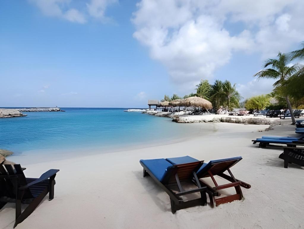 LionsDive Beach Resort  Facilities  Beach 41