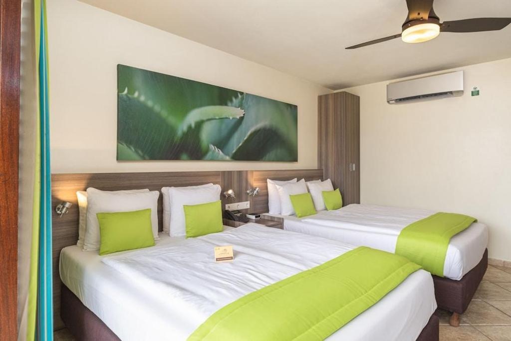 LionsDive Beach Resort  Rooms  Rooms Image 36 36
