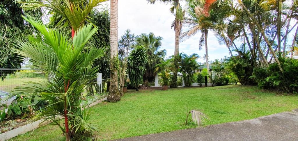 Island Apartments  Property Views  View 10