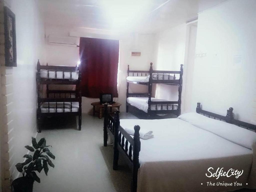 City Private Hotel  Rooms  Family Bunk Room Bed 2