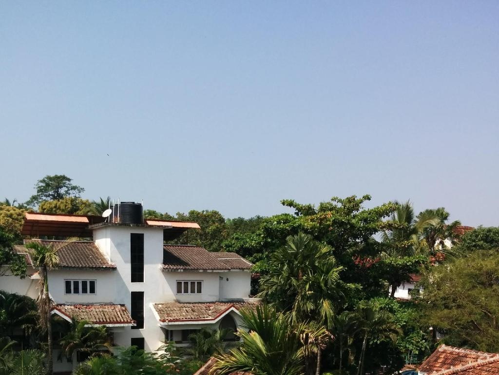 Goan Clove Hotel  Facilities  Surrounding Environment 5