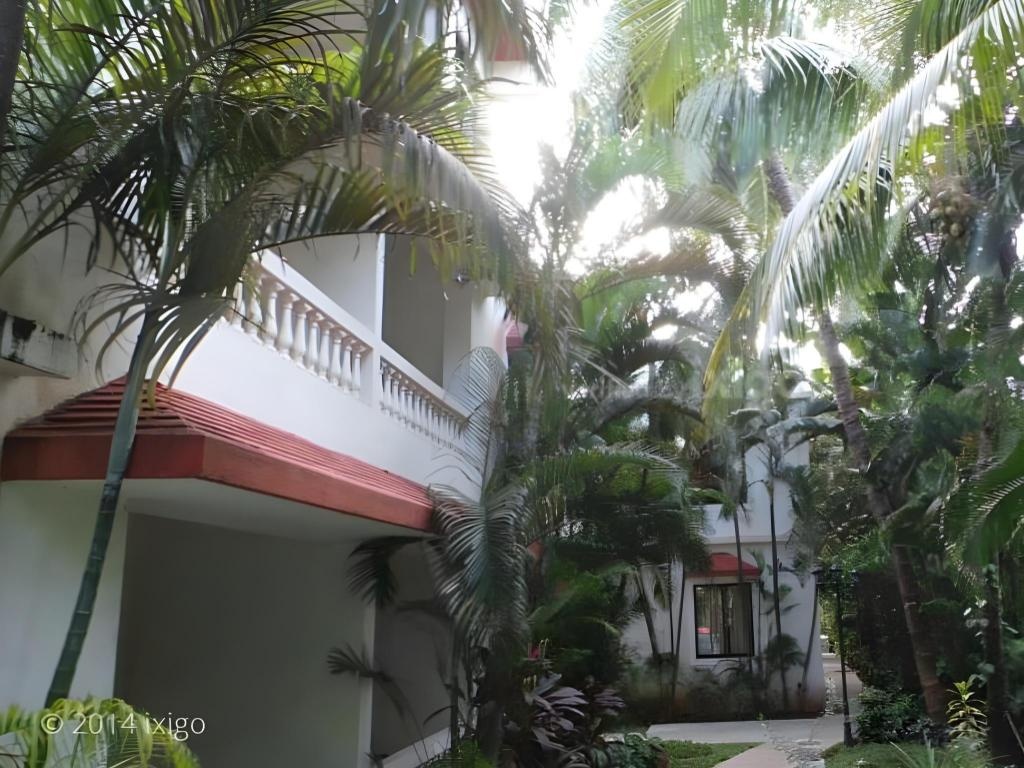 Casablanca Beach Resort  Property Views  Interior View 8