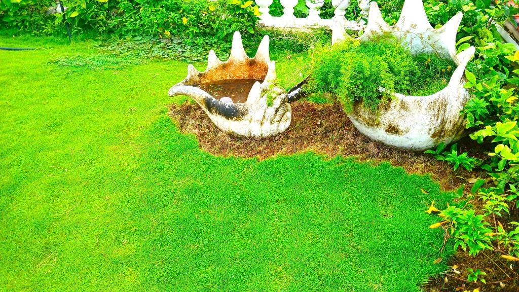 Resort Terra Paraiso Goa A Beach Resort Spa Calangute  Facilities  Garden 30