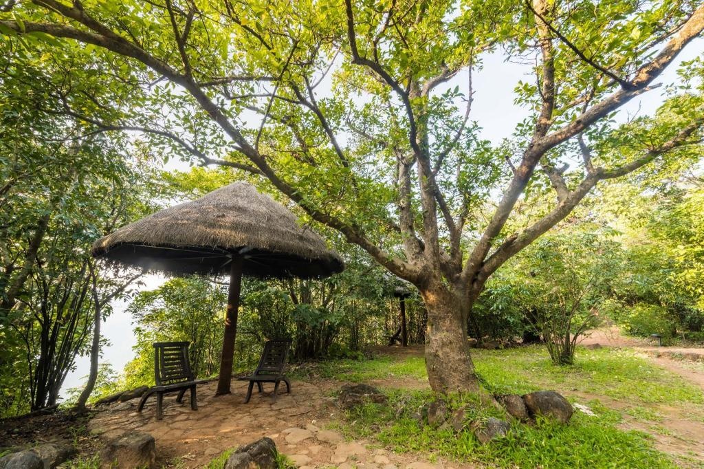 Wildernest Nature Resort  Facilities  Public Areas 9