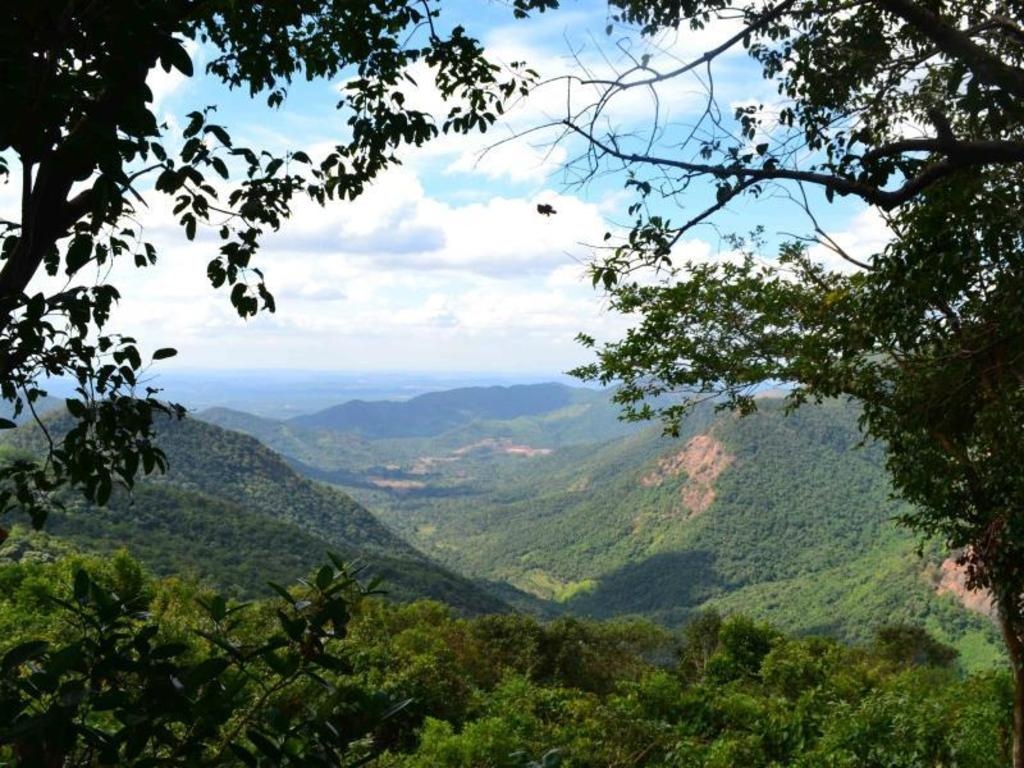 Wildernest Nature Resort  Facilities  Surrounding Environment 2