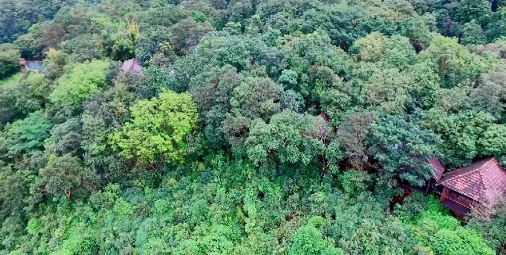 Wildernest Nature Resort  Property Views  Exterior View 1