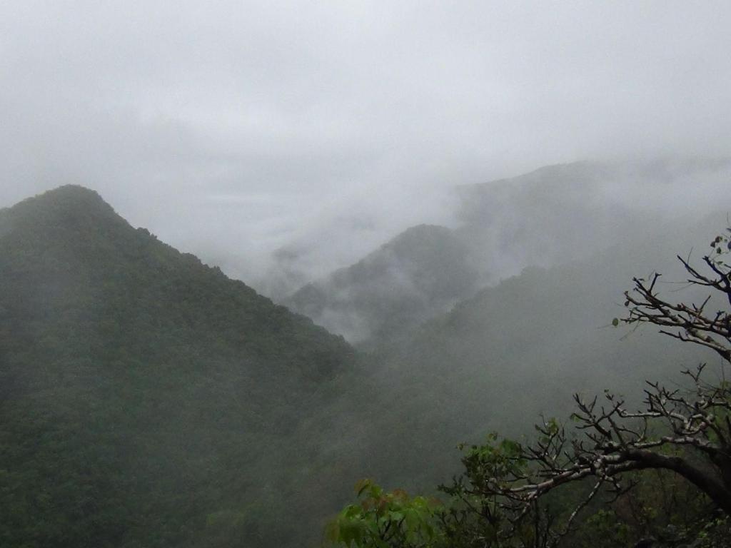 Wildernest Nature Resort  Property Views  View 4