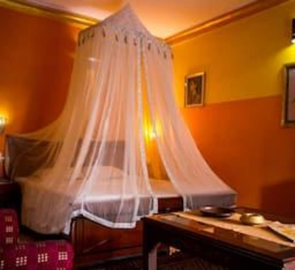 Papa Jolly Eco Resort Near Morjim  Rooms  Rooms Image 14 14