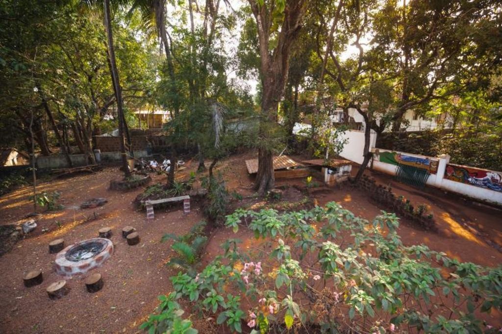 JUNGLE By The Hostelcrowd  Facilities  Surrounding Environment 2