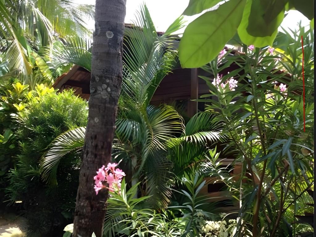 Hotel Red Haired Kate  Facilities  Garden 3