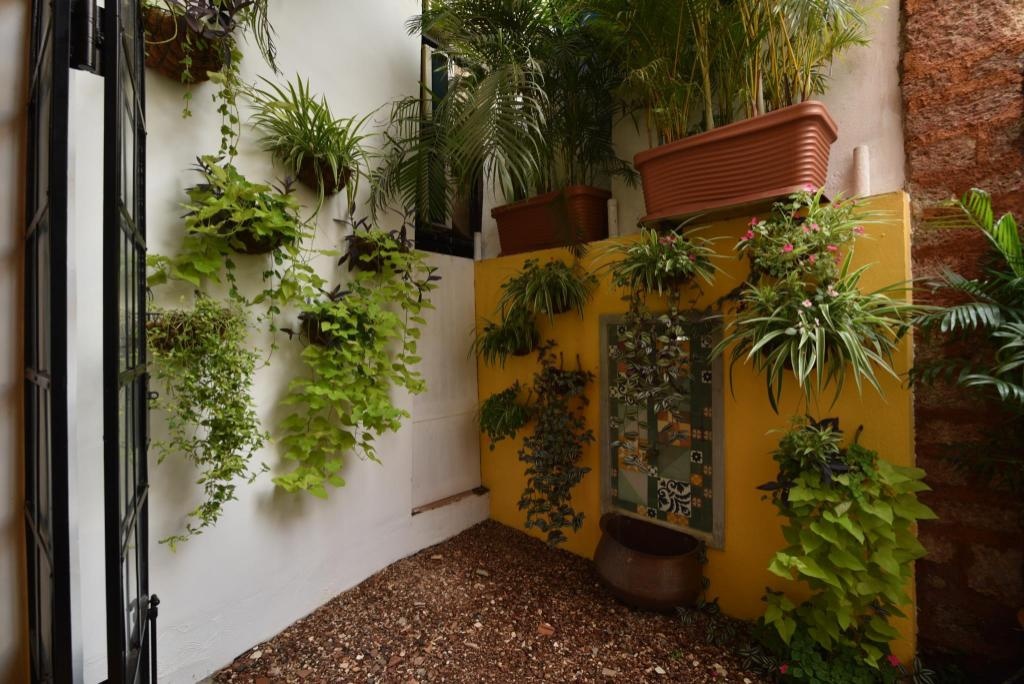 Mateus Boutique Hotel  Facilities  Garden 13