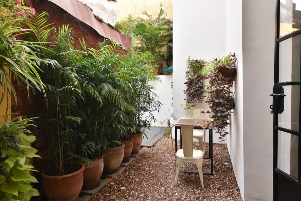Mateus Boutique Hotel  Facilities  Garden 9