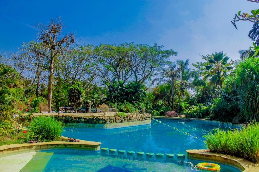 Hotel Laguna Anjuna Goa  Facilities  Swimming Pool Outdoor 1