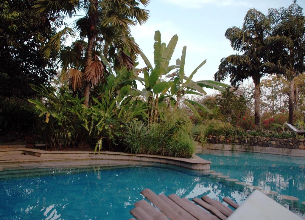 Hotel Laguna Anjuna Goa  Facilities  Swimming Pool Outdoor 7