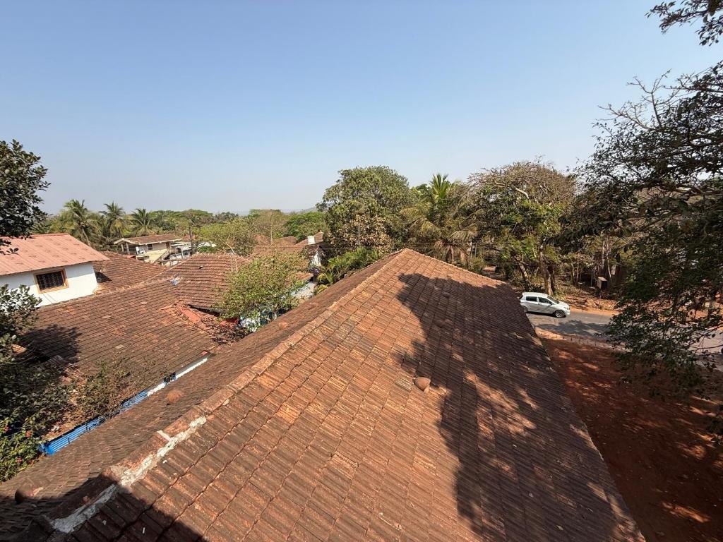 Lar Amorosa Boutique Hotel Goa  Facilities  Surrounding Environment 46