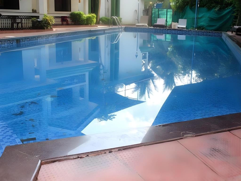 Amigo Plaza Hotel  Facilities  Swimming Pool 1