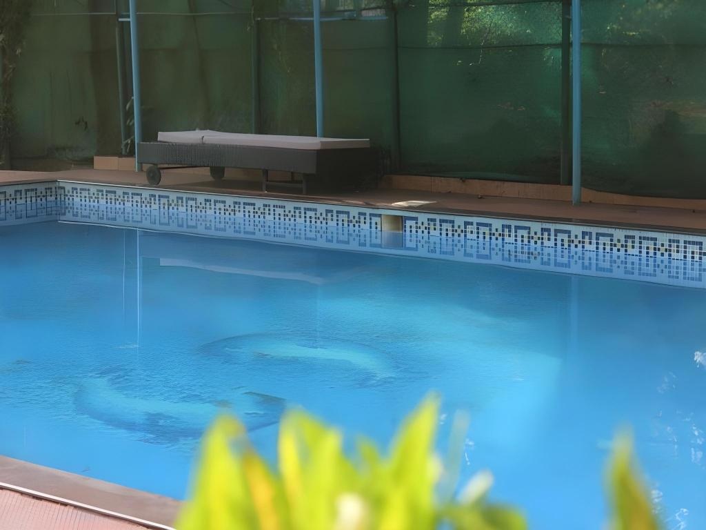 Amigo Plaza Hotel  Facilities  Swimming Pool 4