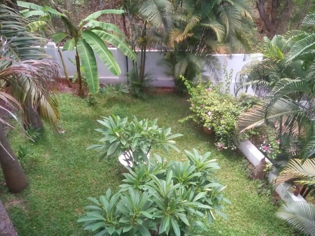 Anoop Jo Luxury Stay  Facilities  Facilities Image 4 4