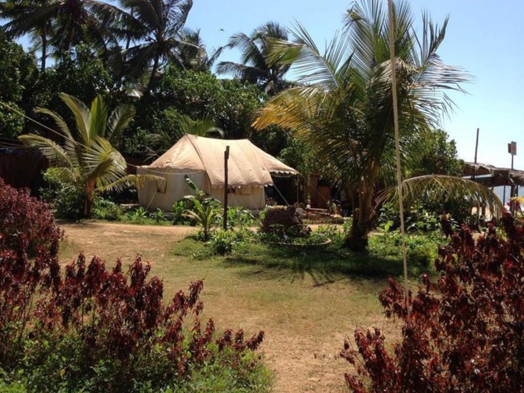 Five Five Restaurant And Guest Tents  Property Views  Exterior View 4