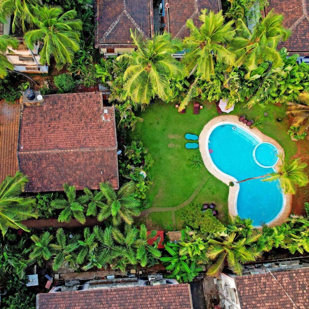 Godwin Candolim Goa  Facilities  Swimming Pool 11