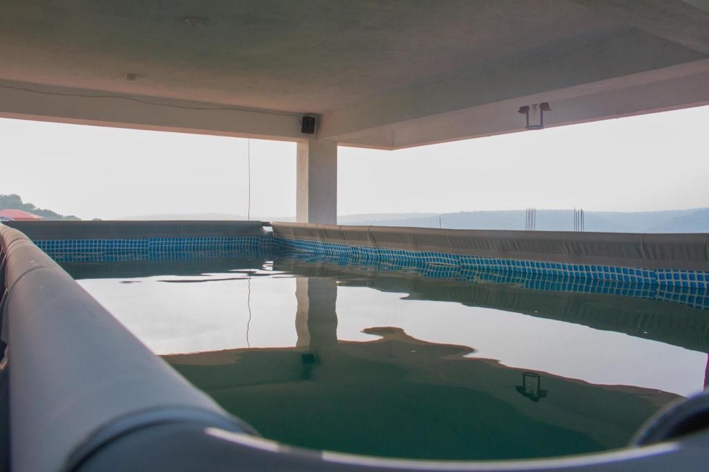 Vista Vega 5 BHK With Terrace Pool Villa  Facilities  Private Pool 1