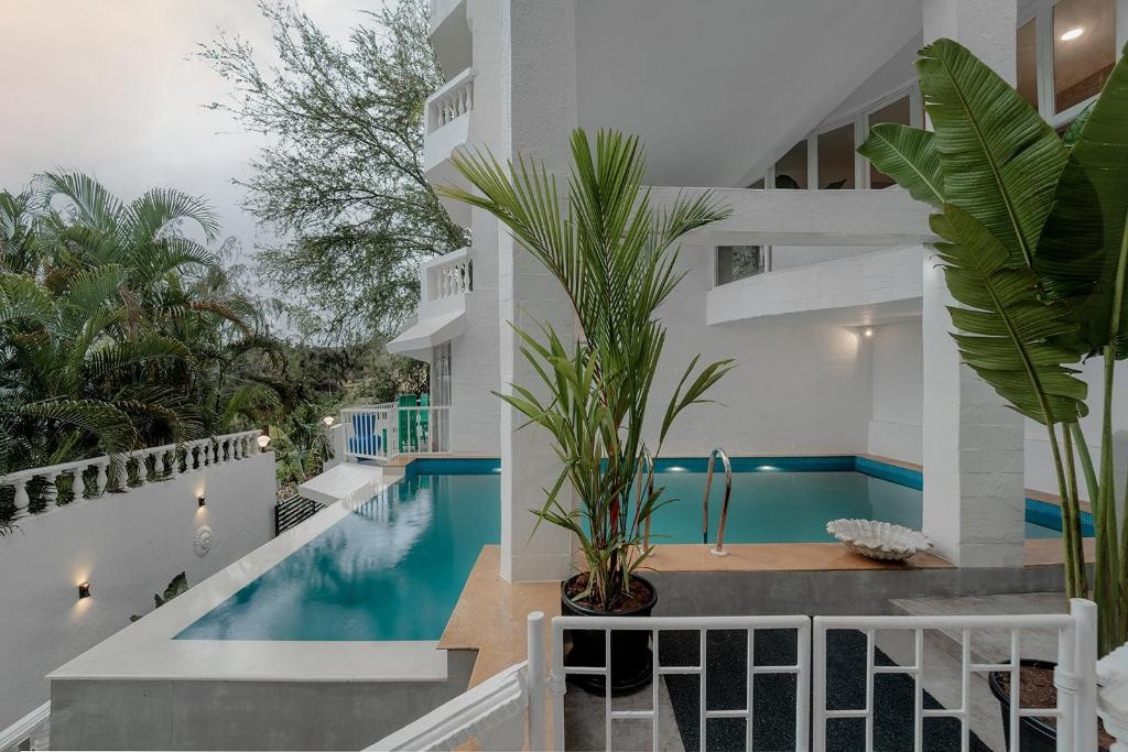 Ocean Suite  Facilities  Private Pool 8