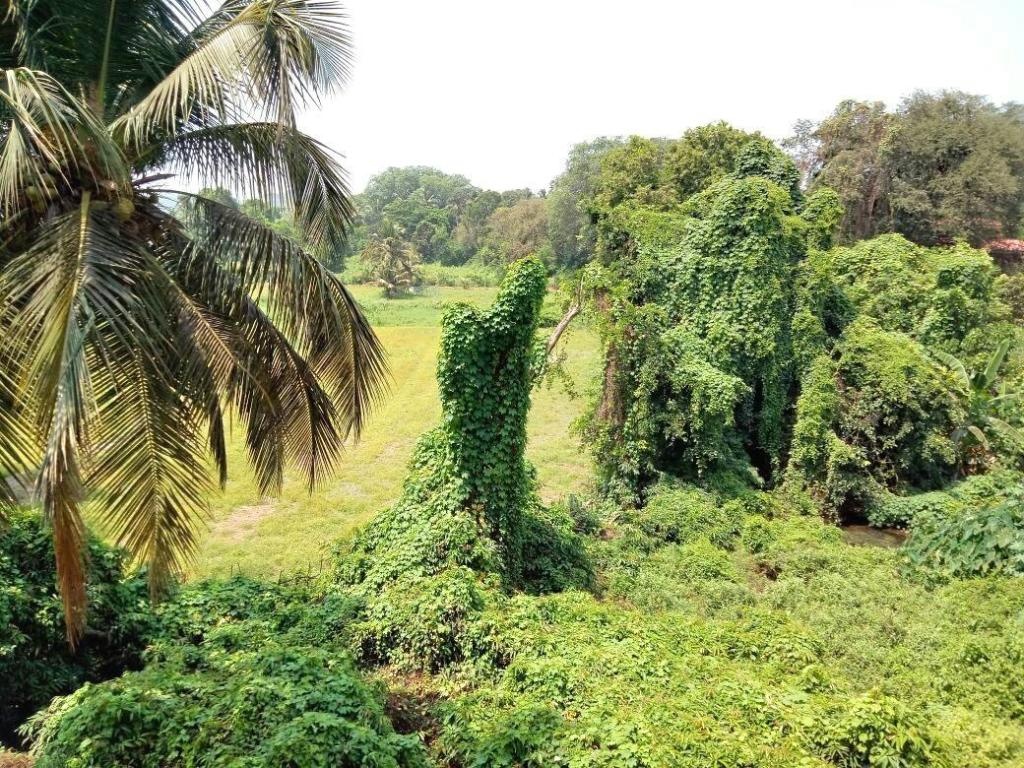 Atlantic Casa  Property Views  View 2