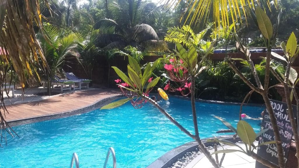 Little India Beach Cottages  Facilities  Swimming Pool 6