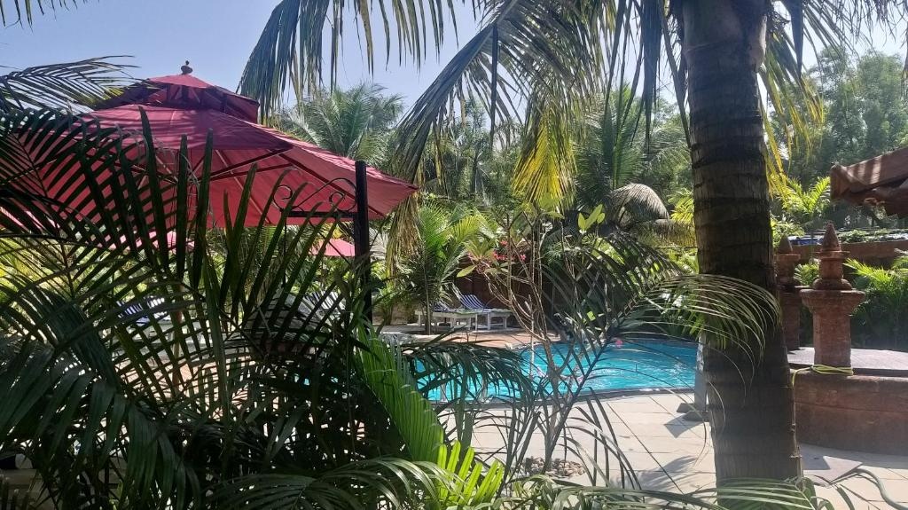 Little India Beach Cottages  Facilities  Swimming Pool 8