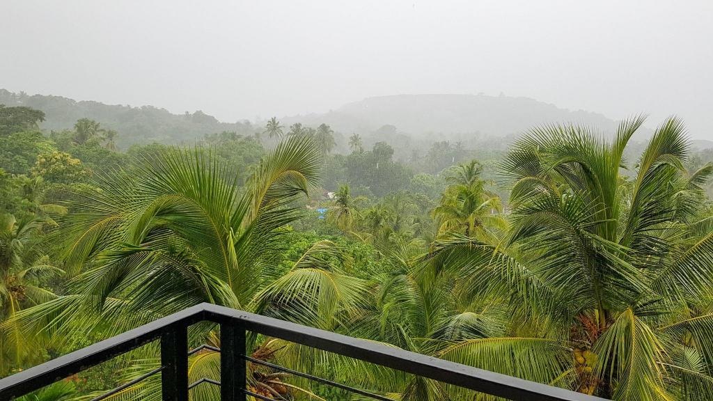 Sea View Suite 1600 Sq Ft With Pool  Property Views  View 2
