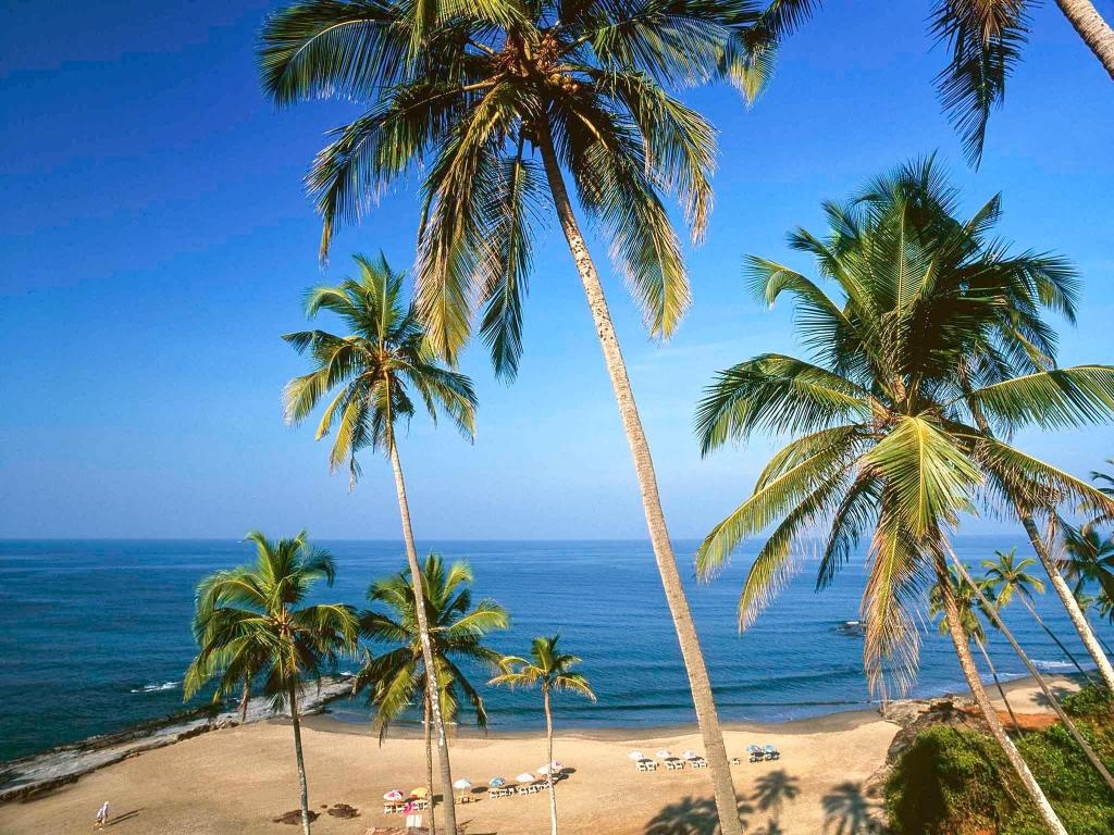 Novotel Goa Candolim An AccorHotels Brand  Facilities  Facilities Image 3 3