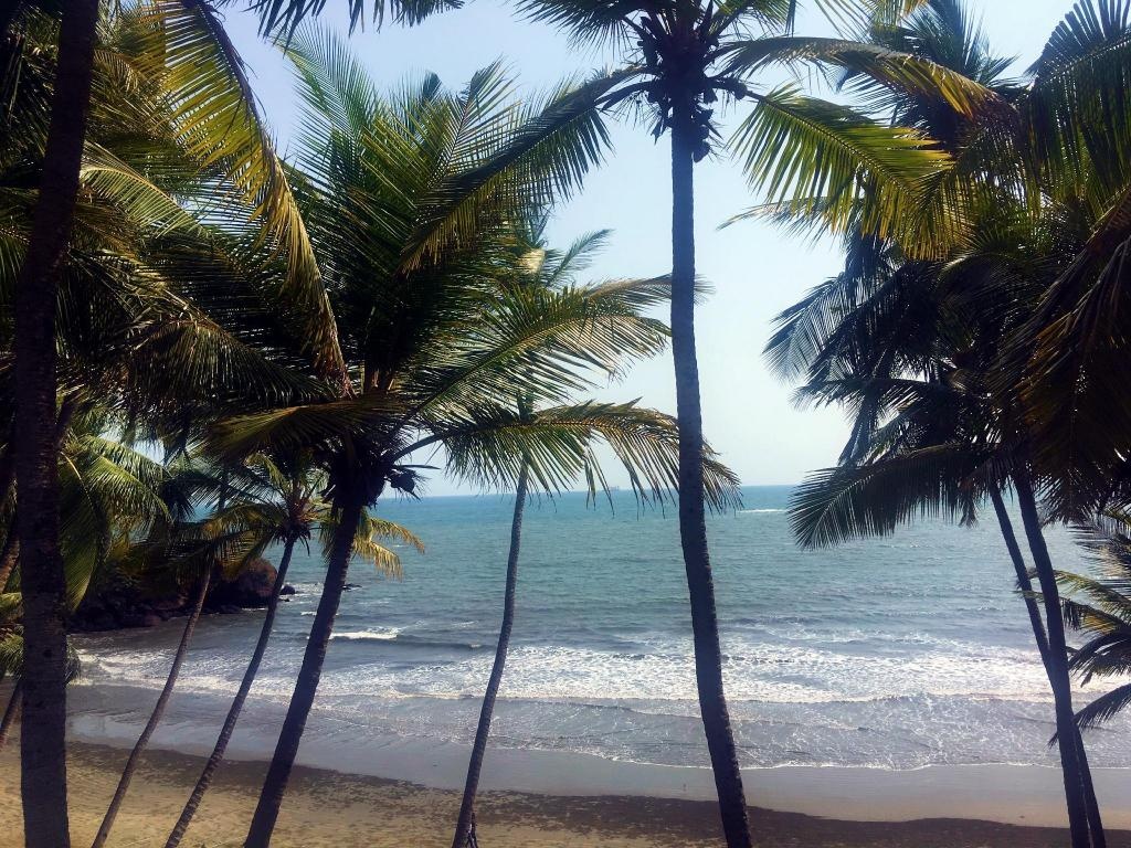 TROPICAL VIBES 5BHK Luxury Beach House  Facilities  Facilities Image 24 24