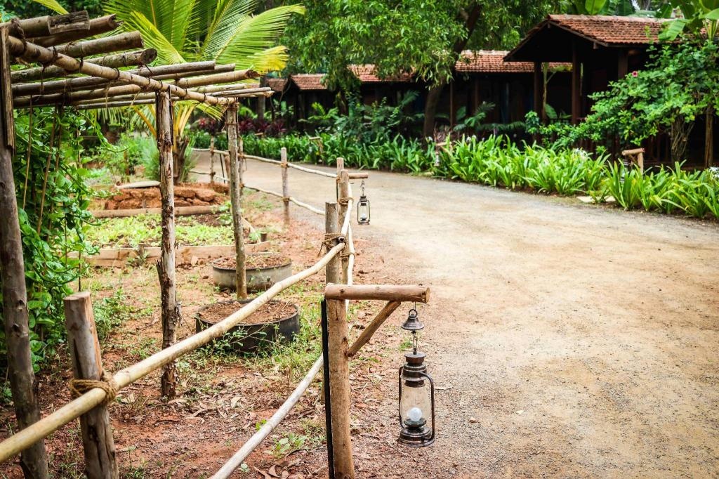 Mandrem Village Resort  Facilities  Garden 7