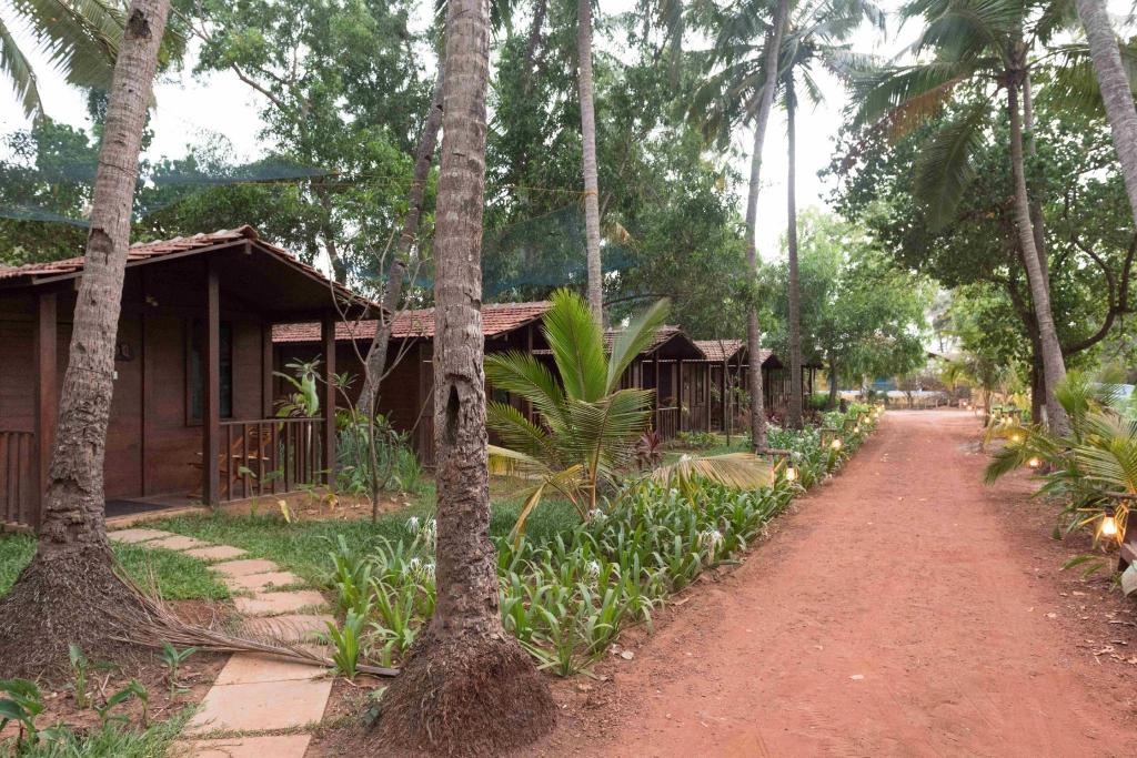 Mandrem Village Resort  Property Views  Interior View 9